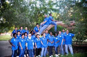 Students in tree