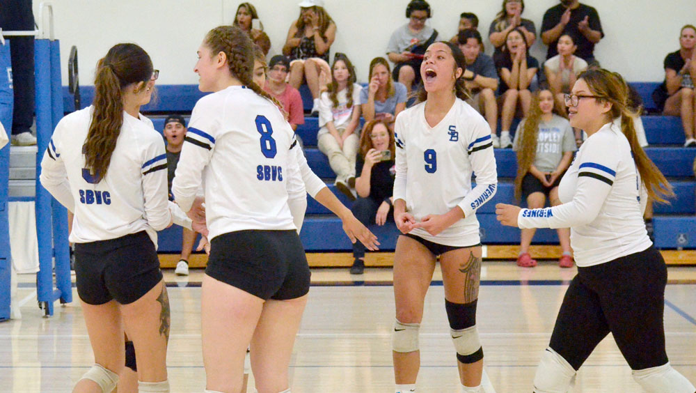 Volleyball game